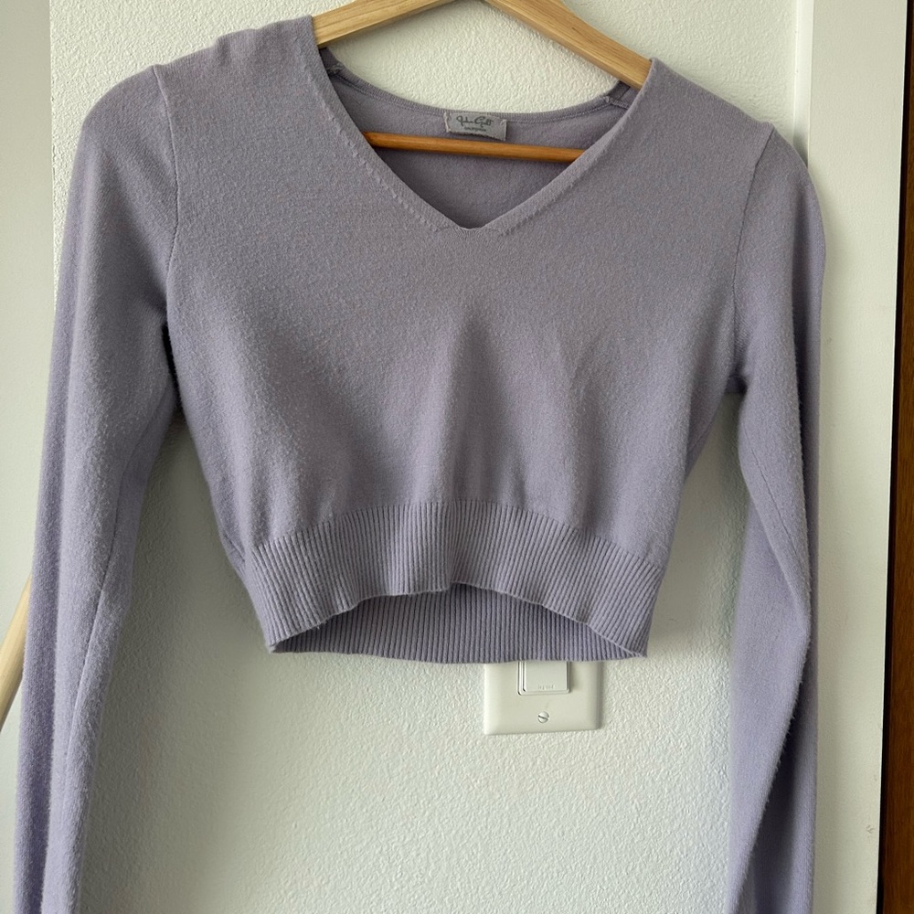John galt/brandy Melville lavender cropped sweater